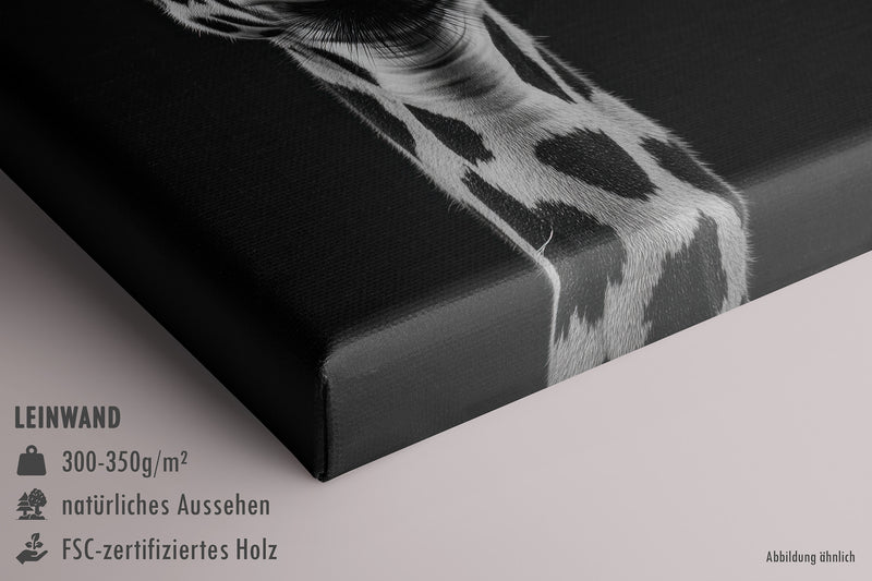 Giraffe in schwarz-weiß