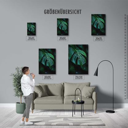 Nahaufnahme Monstera Blatt