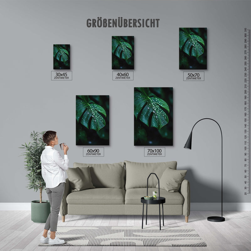 Nahaufnahme Monstera Blatt